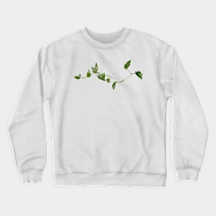 PLANT Crewneck Sweatshirt